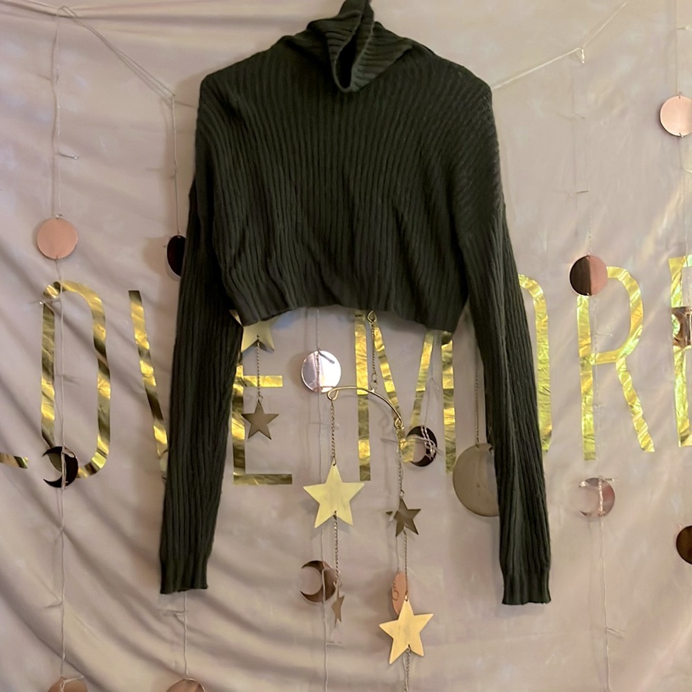 Cropped Long Sleeve Turtleneck Sweater